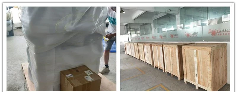 product-800-310 product-800-310